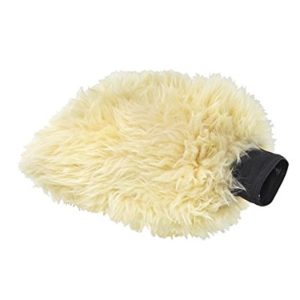 best car wash mitt